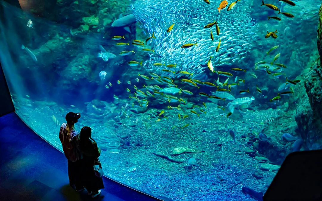 Enoshima Aquarium Tickets Image 1
