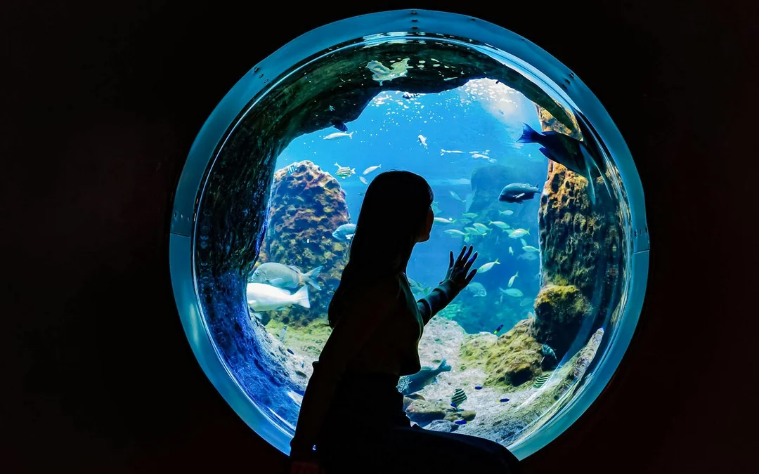 Enoshima Aquarium Tickets Image 2