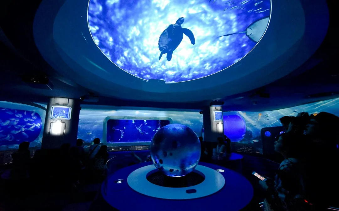 Enoshima Aquarium Tickets Image 5