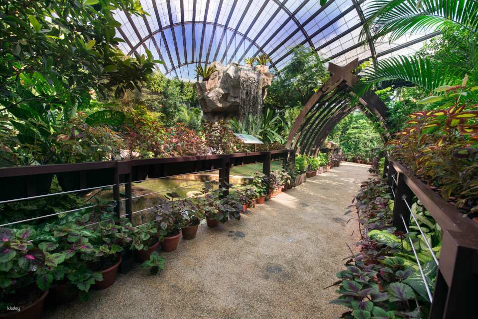 Entopia by Penang Butterfly Farm Ticket