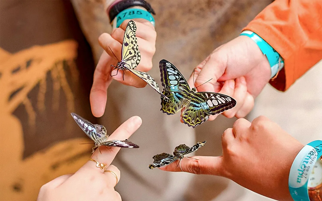 Entopia by Penang Butterfly Farm Tickets Image 1