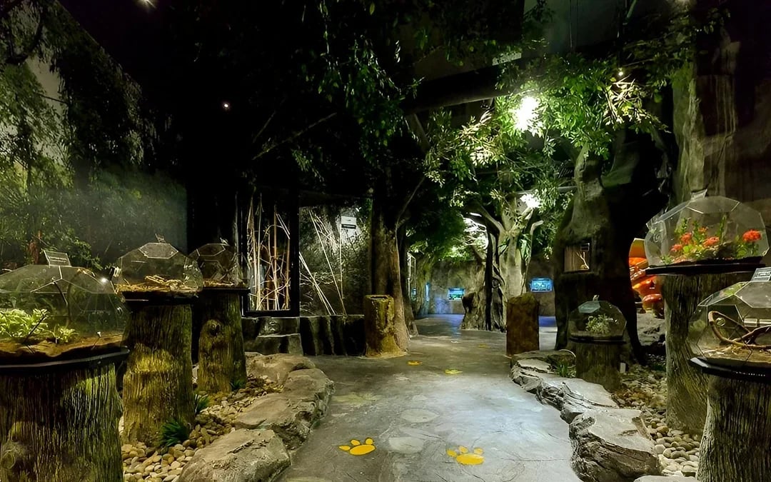 Entopia by Penang Butterfly Farm Tickets Image 9
