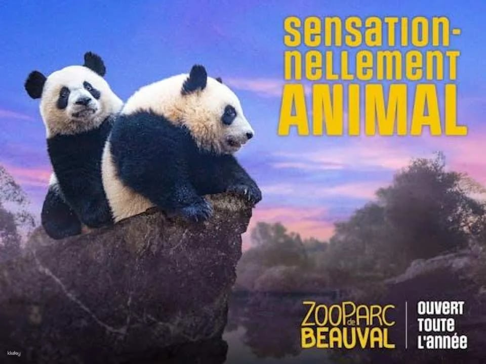 Entrance ticket for ZooParc de Beauval