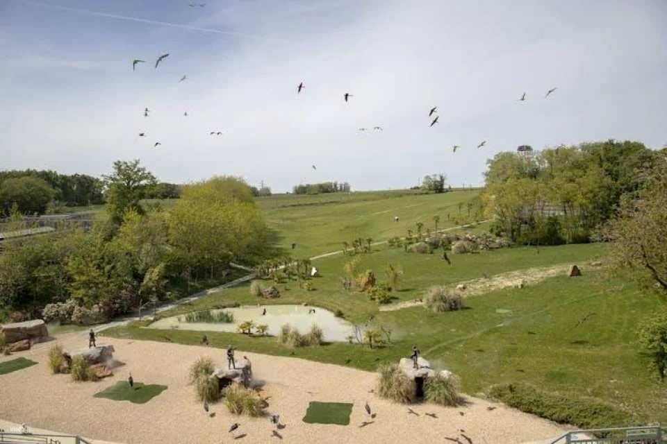 Entrance ticket for ZooParc de Beauval