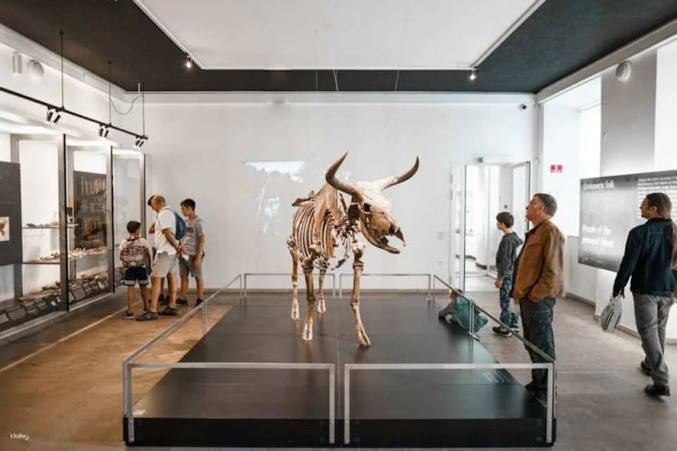 Entrance ticket to the National Museum of Denmark