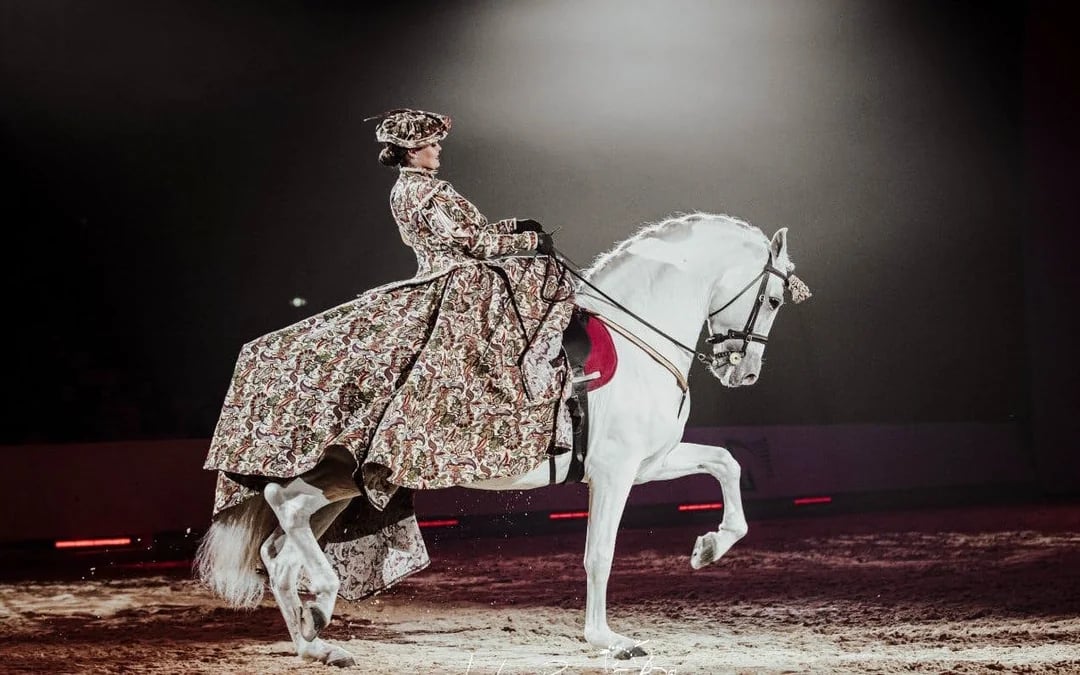Equestrian Show Image 1