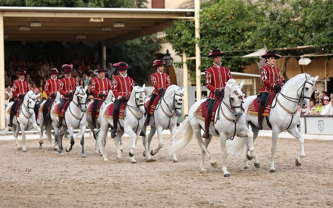 Equestrian Show Image 2