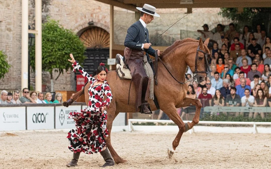 Equestrian Show Image 3