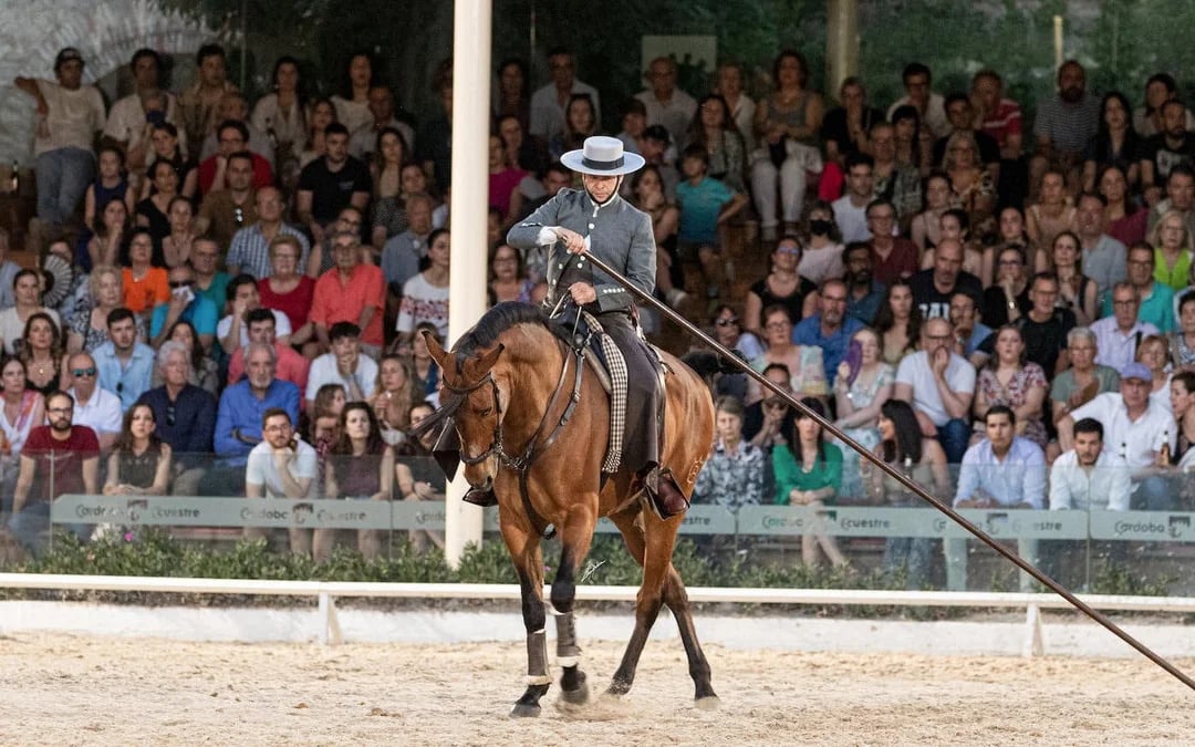 Equestrian Show Image 6