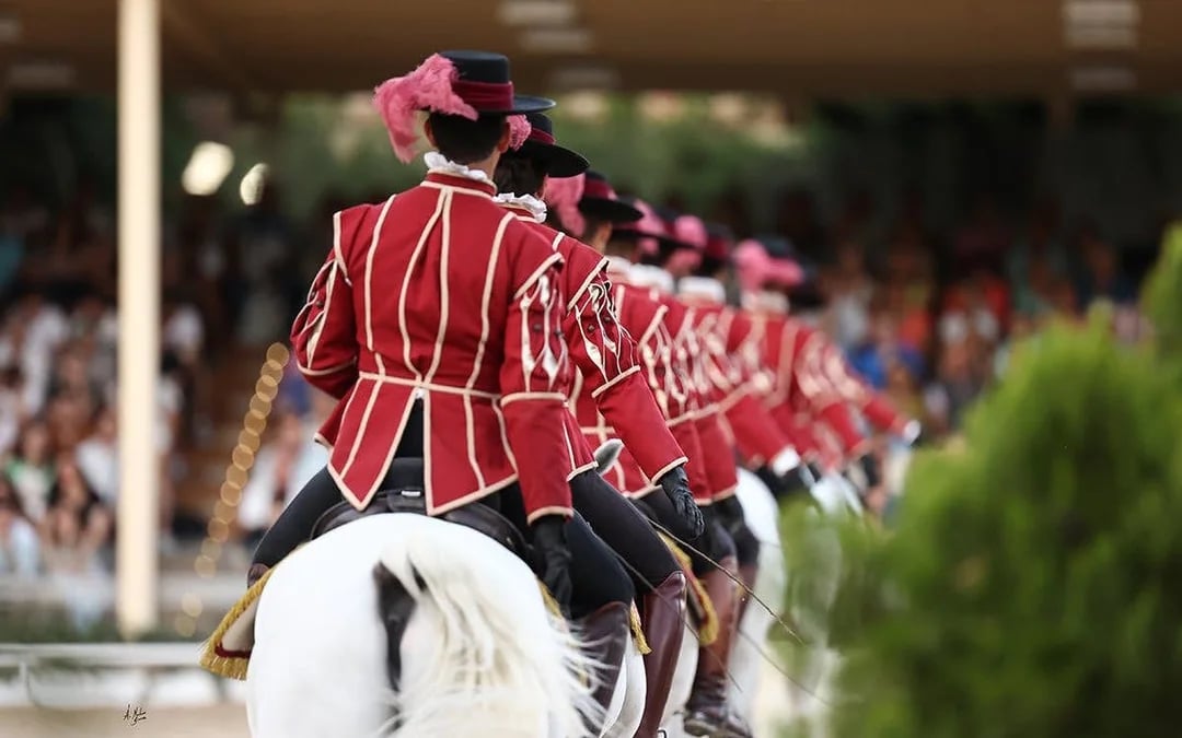 Equestrian Show Image 7