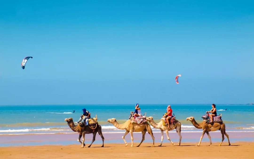 Essaouira Guided Walking Tour: Skala du Port, Medina Ramparts and Fish Market Image 4