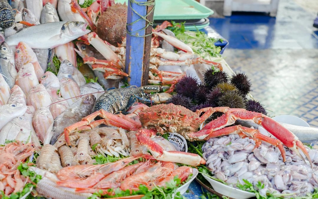 Essaouira Guided Walking Tour: Skala du Port, Medina Ramparts and Fish Market Image 9