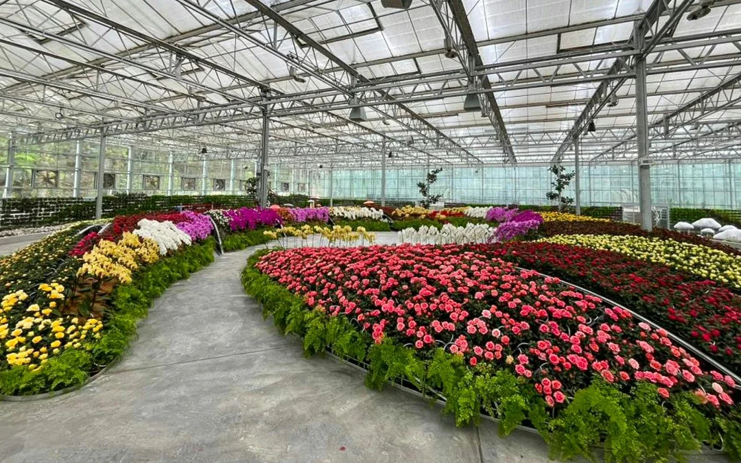Eufloria Gardens & Sculpture Park Tickets Image 2