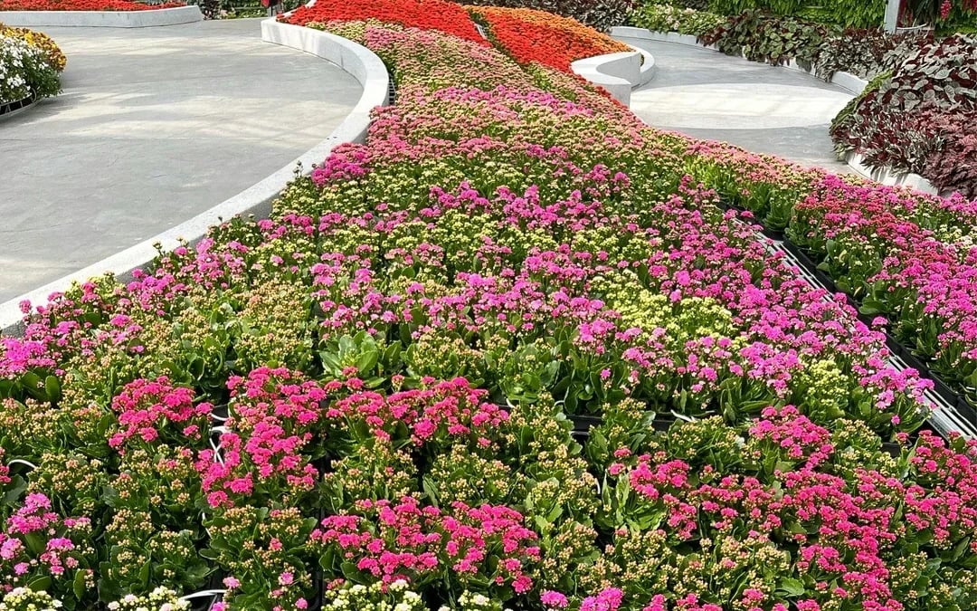 Eufloria Gardens & Sculpture Park Tickets Image 9