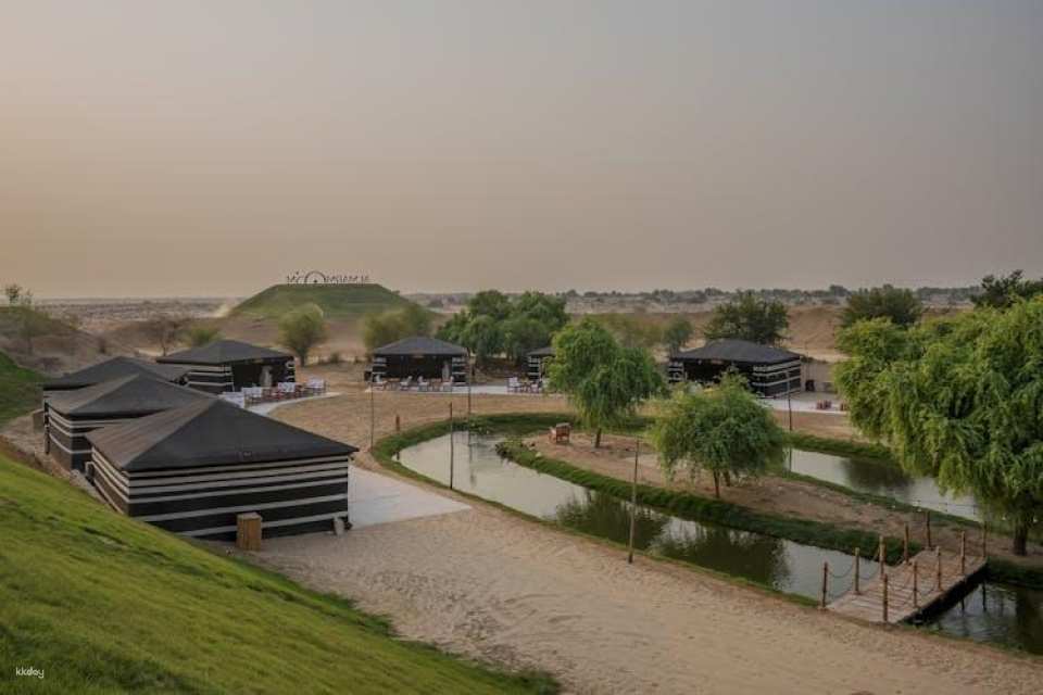 Evening desert safari in Al Marmoom with BBQ dinner from Dubai