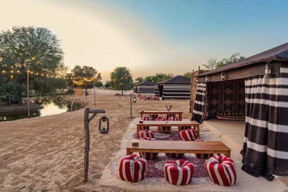 Evening desert safari in Al Marmoom with BBQ dinner from Dubai