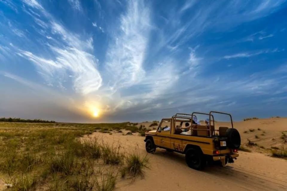 Evening desert safari in Al Marmoom with BBQ dinner from Dubai