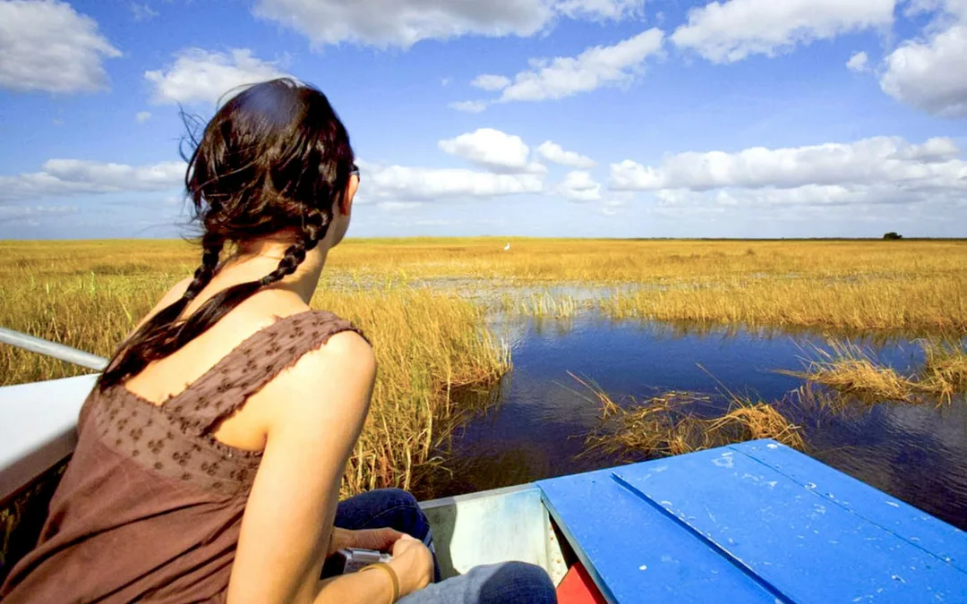 Everglades National Park: Airboat Tour with Reptile Exhibit Image 5