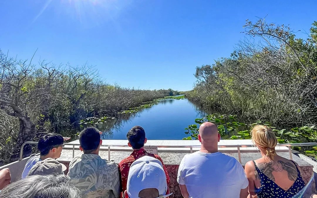 Everglades National Park: Airboat Tour with Reptile Exhibit Image 6