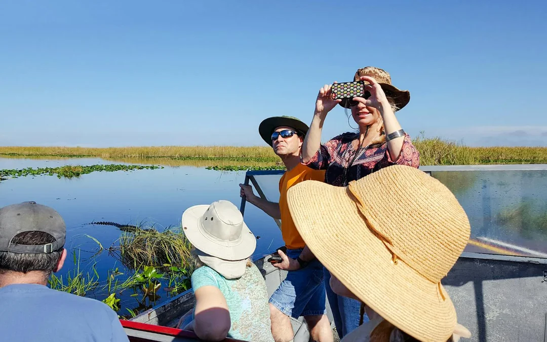 Everglades National Park: Full‑Day Tour with Airboat, Dry Walk & Transportation Image 4