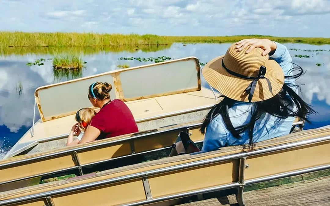 Everglades National Park: Half‑Day Tour with Airboat, Guided Nature Walk & Transportation Image 2