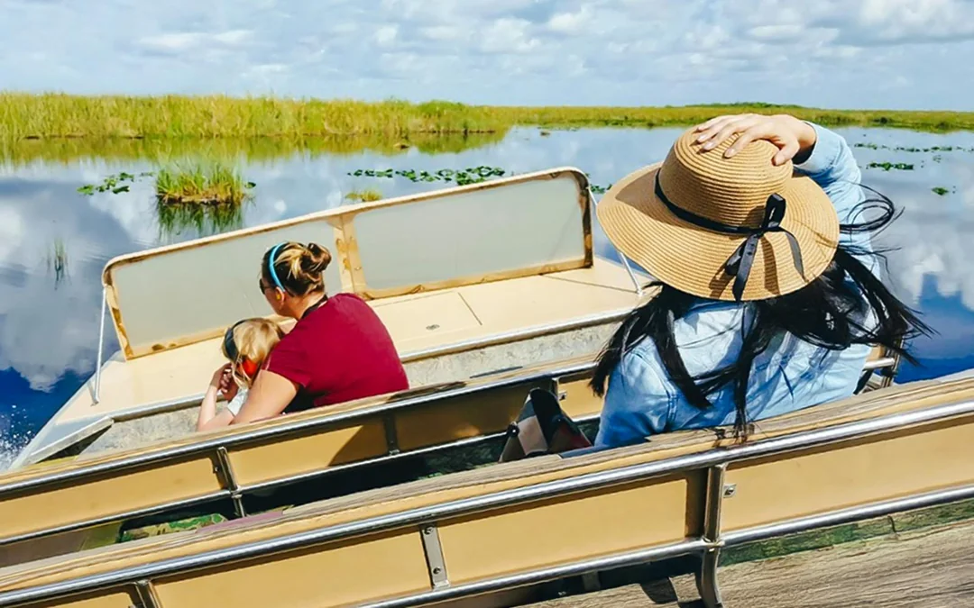 Everglades National Park: Half‑Day Tour with Airboat, Guided Nature Walk & Transportation Image 2