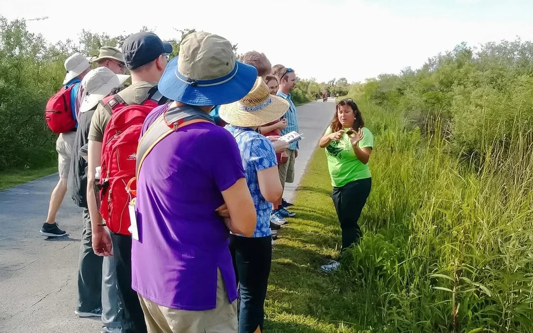 Everglades National Park: Half‑Day Tour with Airboat, Guided Nature Walk & Transportation Image 3