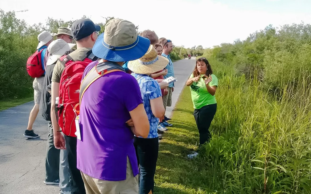 Everglades National Park: Half‑Day Tour with Airboat, Guided Nature Walk & Transportation Image 3