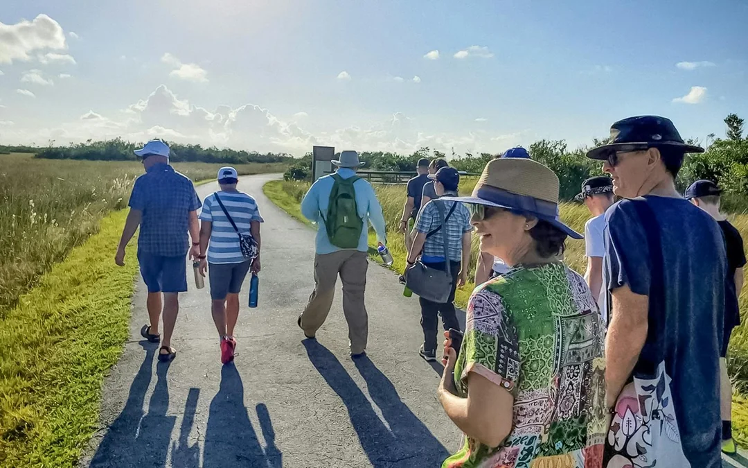 Everglades National Park: Half‑Day Tour with Airboat, Guided Nature Walk & Transportation Image 4