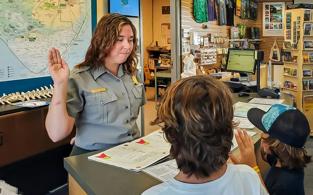 Everglades National Park: Half‑Day Tour with Airboat, Guided Nature Walk & Transportation Image 5