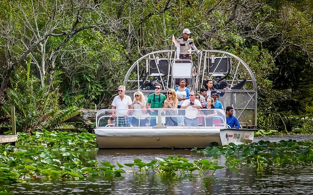 Everglades National Park: Safari Park Airboat Tour with Transportation from Miami Image 3
