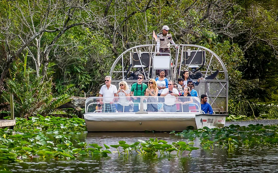 Everglades National Park: Safari Park Airboat Tour with Transportation from Miami Image 3