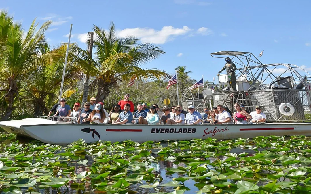 Everglades National Park: Safari Park Airboat Tour with Transportation from Miami Image 5