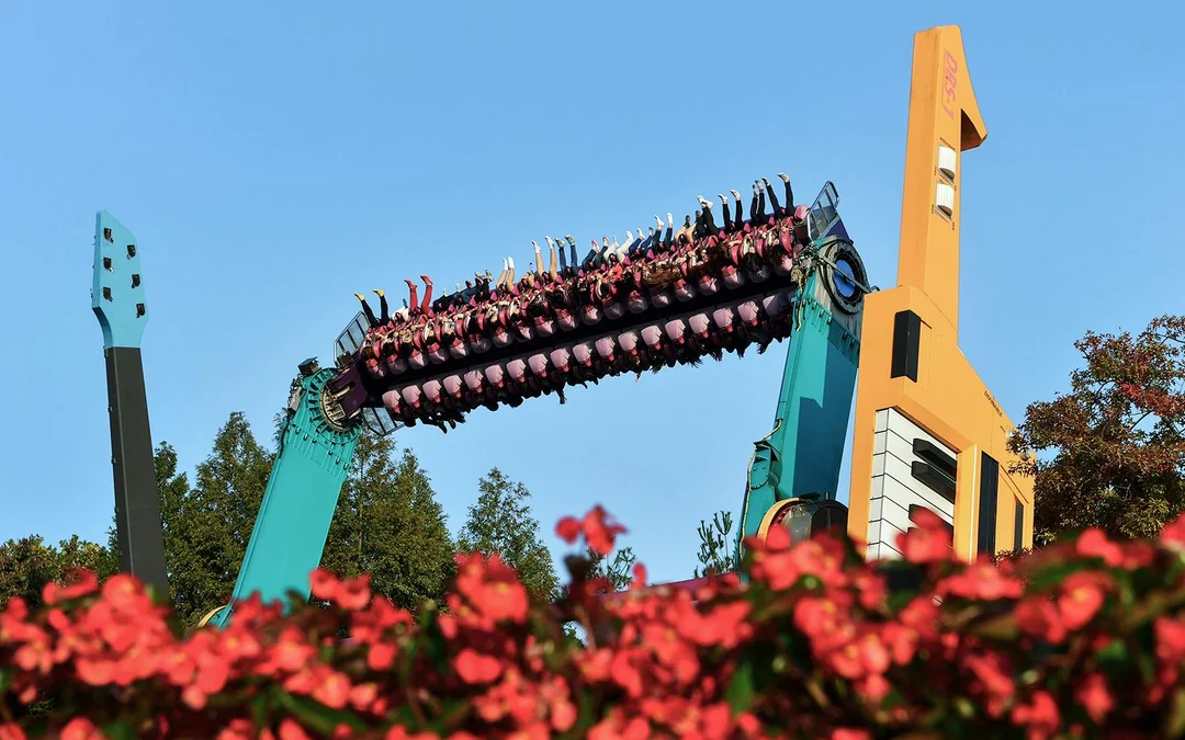 Everland Theme Park Tickets Image 3