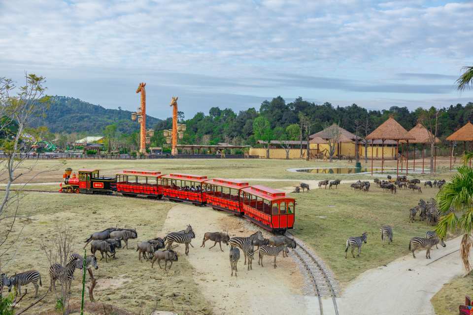 Exclusive offer on tickets to Chimelong Forest Kingdom in Qingyuan, China | Free AIRSIM SIM card included.