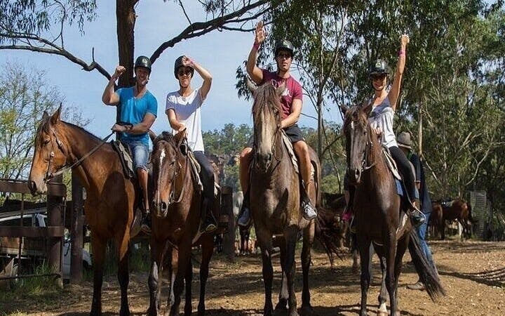 Experience Horse Riding in Palmeraie Grove & Transfer - Marrakesh Image 2