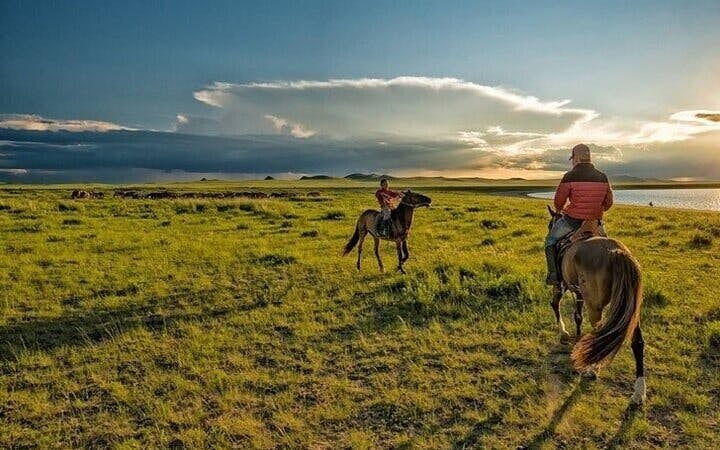 Experience Horse Riding in Palmeraie Grove & Transfer - Marrakesh Image 4