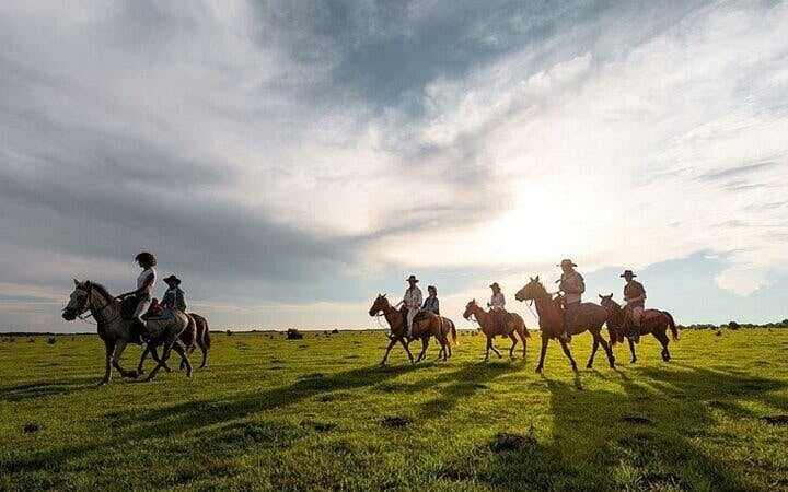 Experience Horse Riding in Palmeraie Grove & Transfer - Marrakesh Image 5