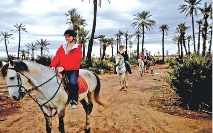 Experience Horse Riding in Palmeraie Grove & Transfer - Marrakesh Image 6