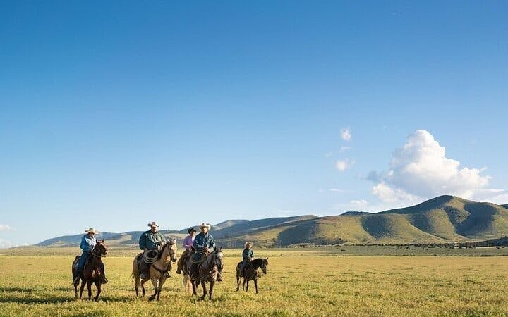 Experience Horse Riding in Palmeraie Grove & Transfer - Marrakesh Image 8