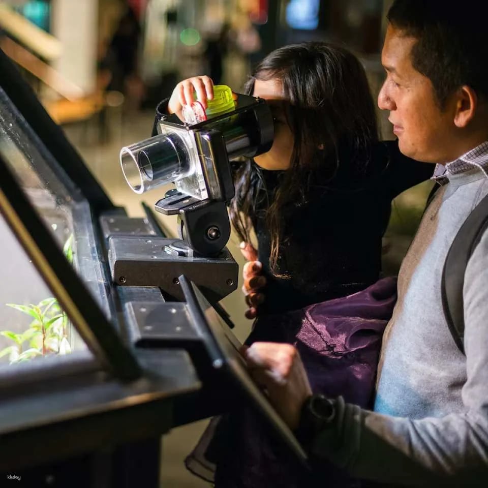 Exploratorium Ticket｜San Francisco
