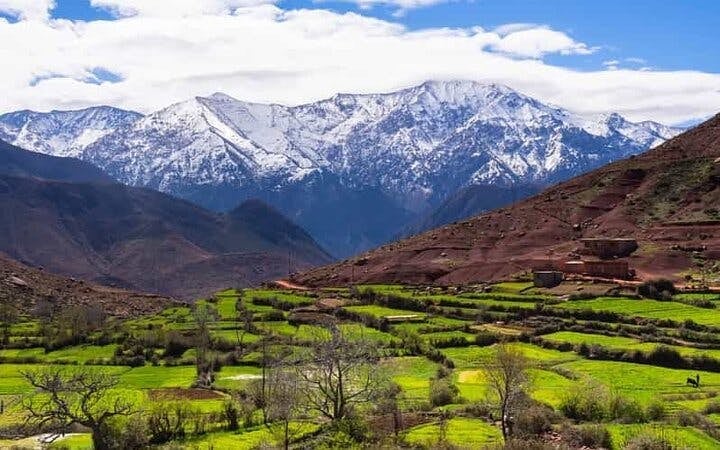 Explore the Atlas Mountains & Vibrant Berber Villages - Marrakesh Image 4