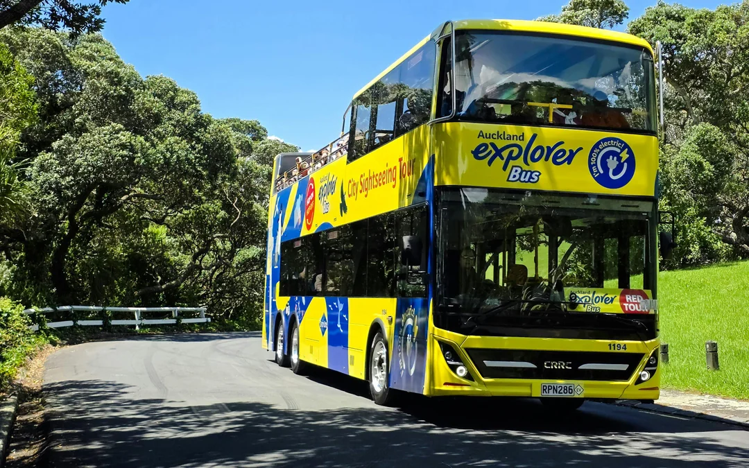 Explorer Bus: Auckland Hop-On Hop-Off Bus Tour Image 5