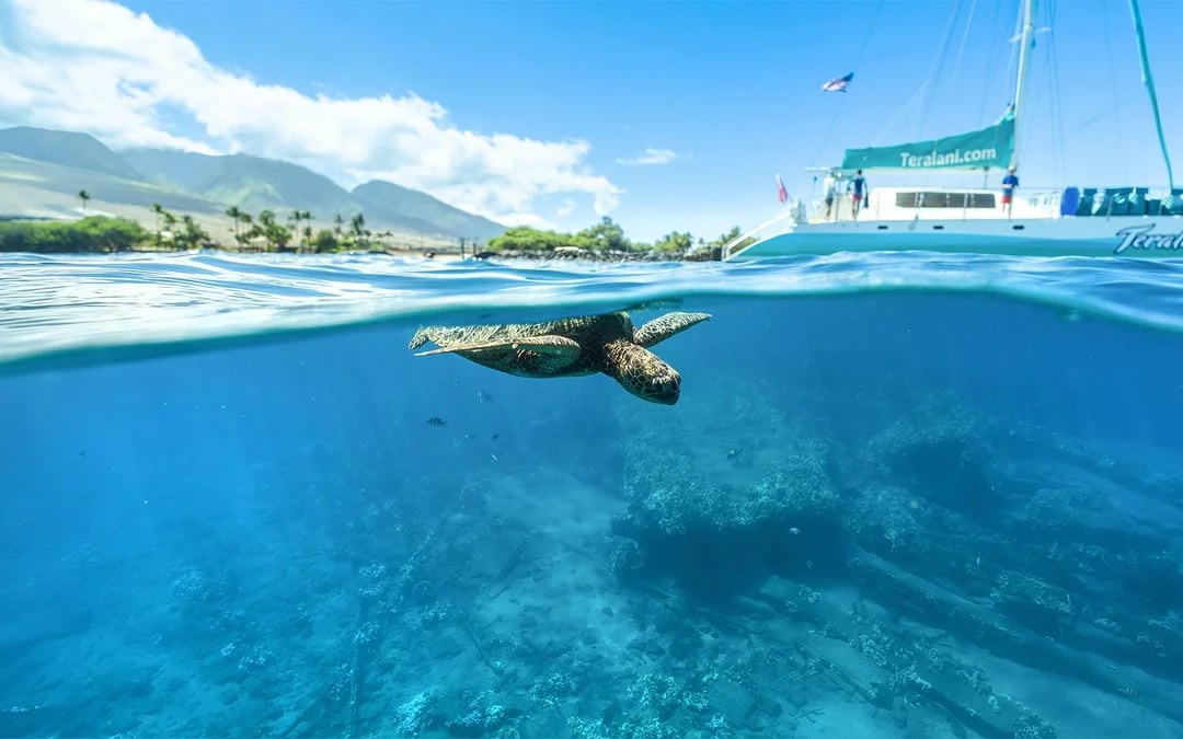 Express West Maui Snorkel Sail Image 3