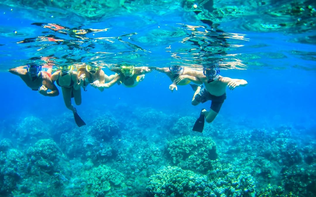 Express West Maui Snorkel Sail Image 5