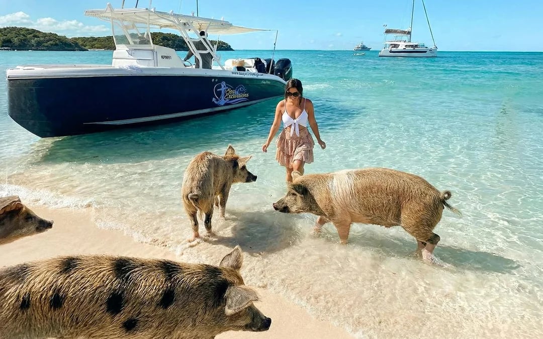 Exumas: Swim with Pigs Full-Day Trip with Bahamian Lunch via Boat or Flight Image 3