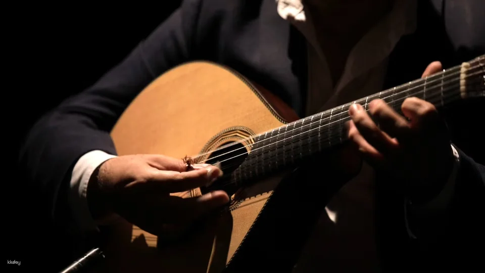 Fado in Chiado Show Ticket | Lisbon