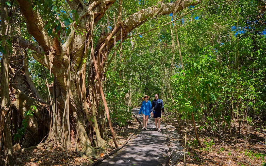 [Family Package] Cairns to Green Island Full Day Cruise Image 2