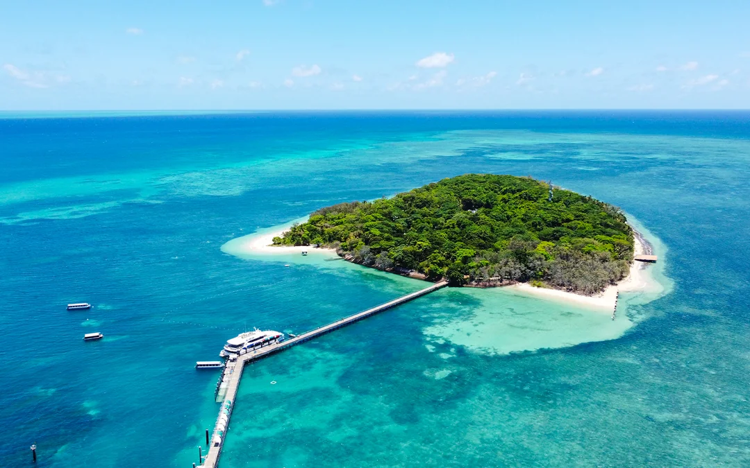 [Family Package] Cairns to Green Island Full Day Cruise Image 8