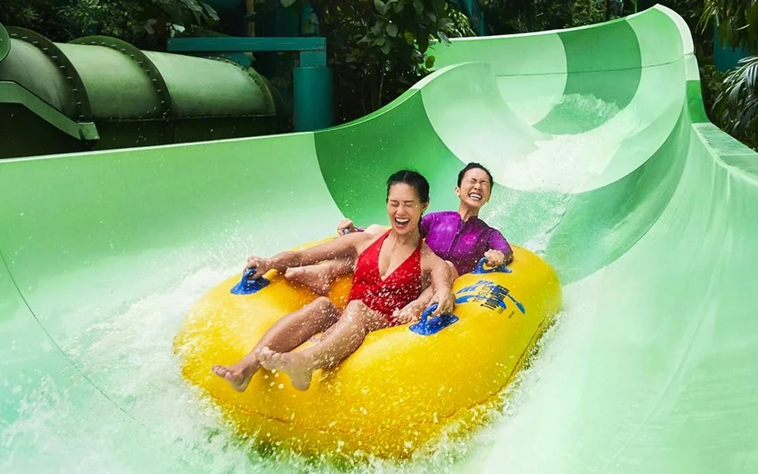 [Family Super Saver] Adventure Cove Waterpark Tickets Image 7